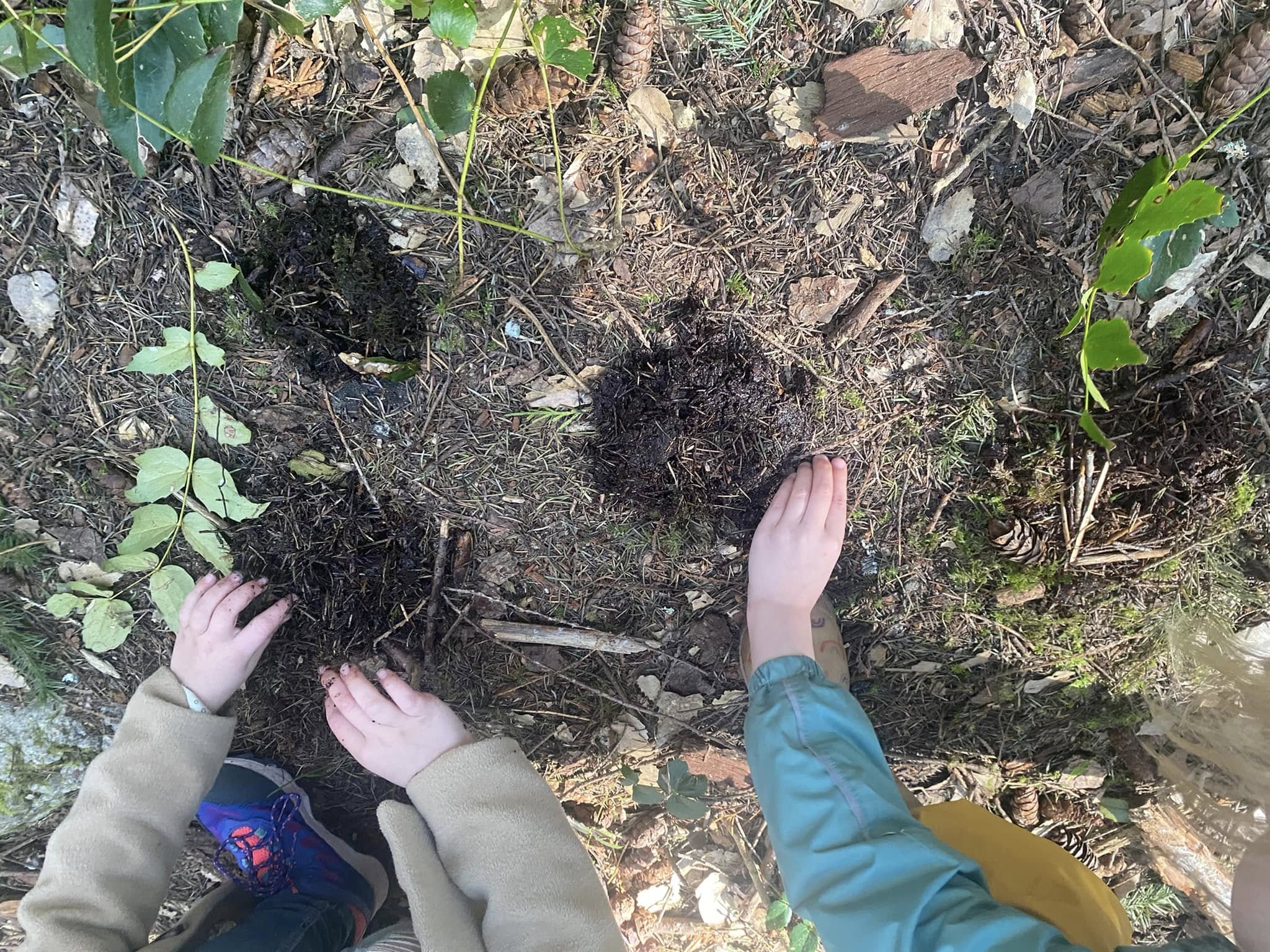 Collaborative activity